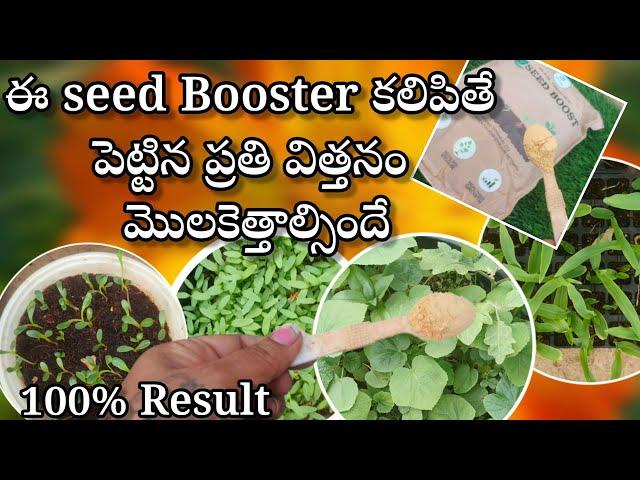 seed Booster | Best seed germination Hack |best seed soil mix in telugu