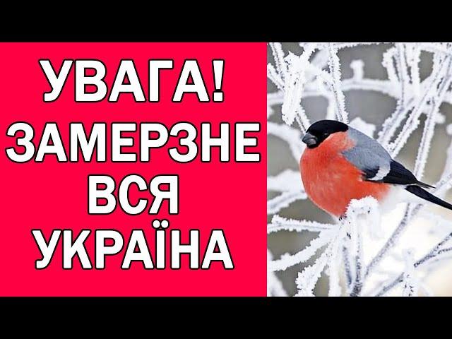 ПОГОДА НА ЗАВТРА 25 ЖОВТНЯ : ПОГОДА В УКРАЇНІ НА ЗАВТРА