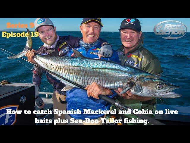 How to catch Spanish Mackerel and Cobia on live baits plus Sea-Doo Tailor fishing.