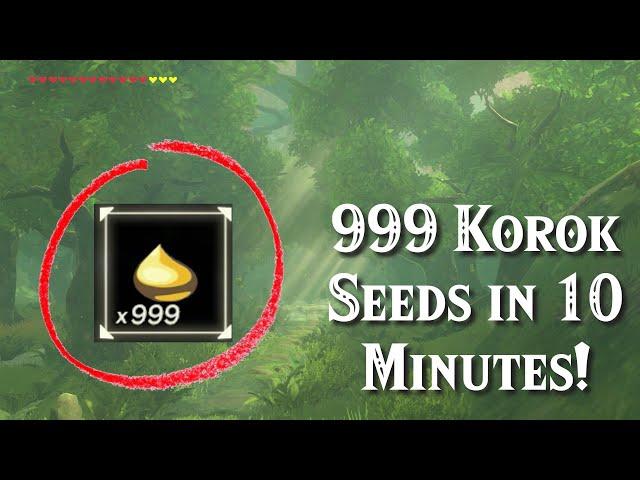 Get 999 Korok Seeds in Under 10 Minutes in Zelda Breath of the Wild!