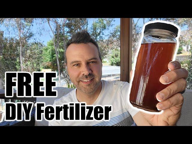 What I Use instead of Miracle Gro. plus Free HomeMade Fertilizer!