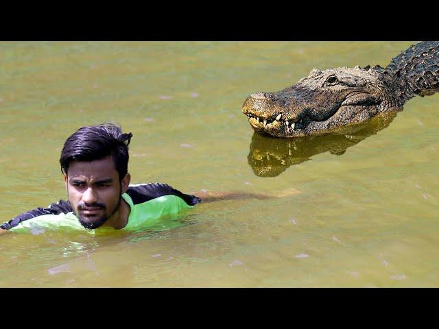 Crocodile Attack Man in River | Animal Attack Fun Made Movie By Wild Fighter