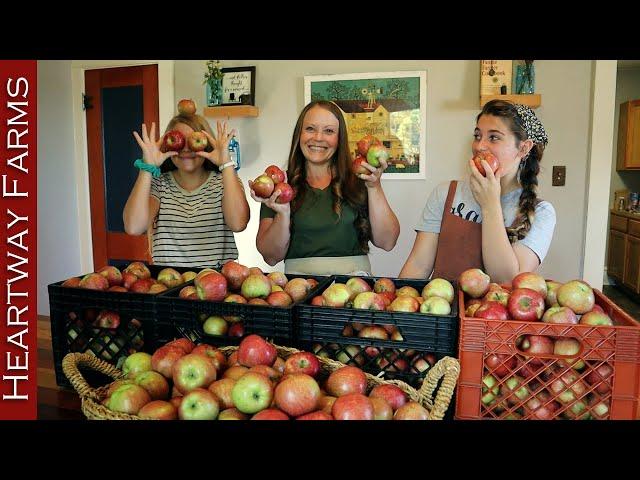 Four Ways to Put Up Apples | Heartway Farms | How to Use and Store Apples | Fall Apple Harvest