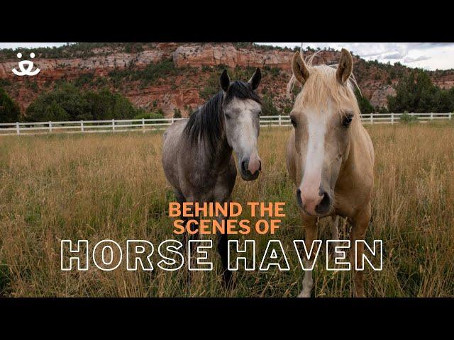 BTS: Welcome to Horse Haven at Best Friends Animal Sanctuary