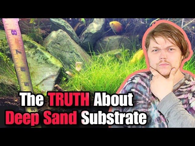 The TOUGH TRUTHS About DEEP SAND SUBSTRATE Aquariums. Using Deep Sand Beds & Caps in Planted Tanks7