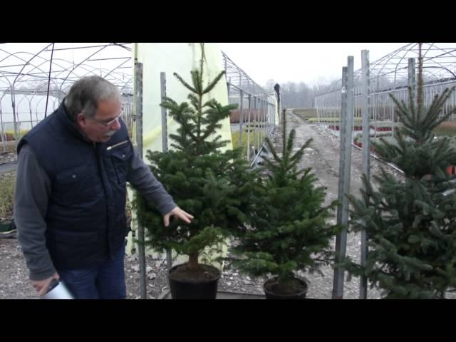 Der Lubera Weihnachtsmarkt