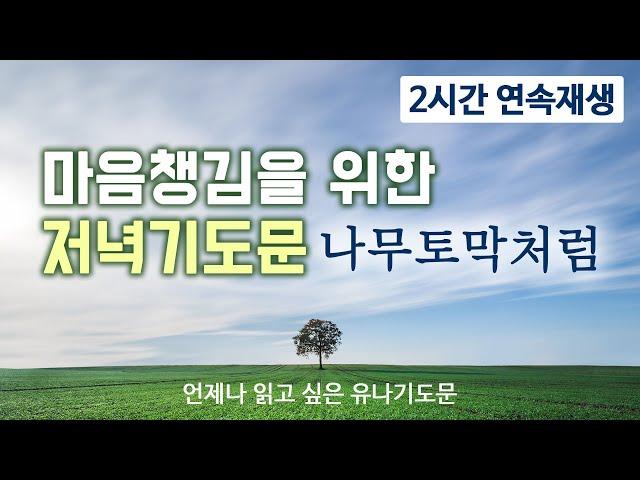 [2시간용] 마음챙김을 위한 저녁기도문 나무토막처럼