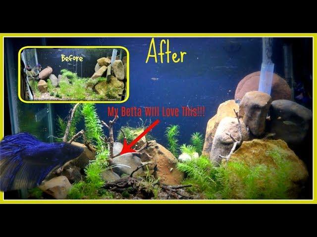 Step-By-Step Rebuild Of My Betta Tank