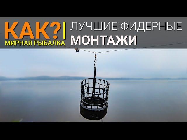 КАК? Лучшие фидерные монтажи. Инлайн или патерностер?