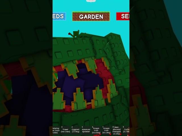 The new venus fly trap in grow a garden sell value  #roblox #growagarden