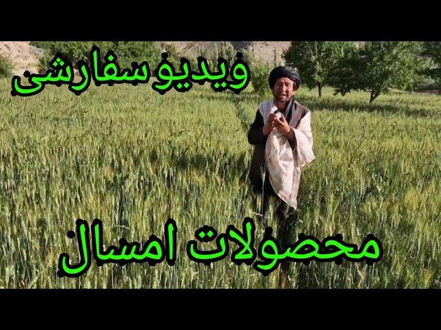 ویدیو سفارشی به در خواست حاجی رضایی و پدر شاه