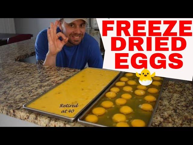 HARVESTRIGHT-- Freeze Dried RAW Eggs Cost and Rehydrating