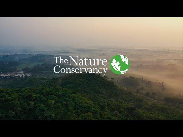 The Nature Conservancy Film