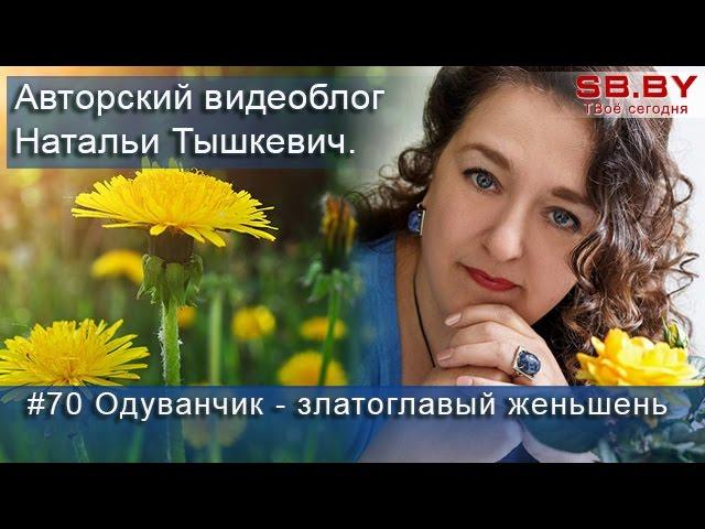 Одуванчик – полезные свойства