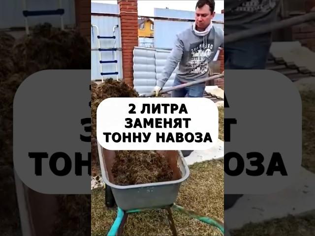 Два литра заменят гору навоза и перегноя. Почва мягкая рыхлая плодородная #огород #дача #сад #урожай