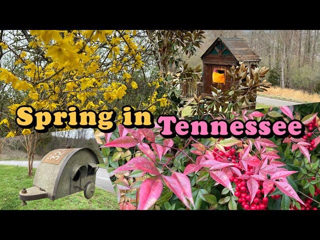 Spring in Tennessee / Sevierville TN / Smoky Mountains Sunset