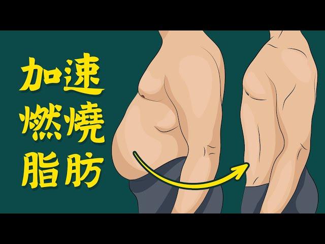 加速燃燒脂肪,神奇7方法,柏格醫生 Dr Berg