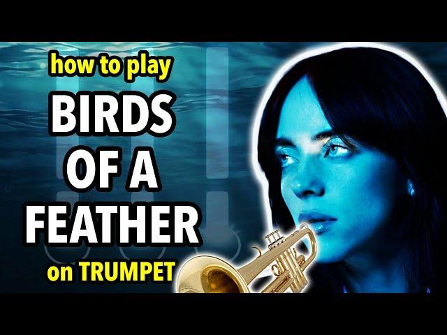 How to play Birds of a Feather on Trumpet | Brassified