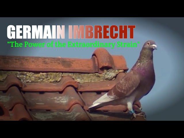 The Power of the Extraordinary Strain of GERMAIN IMBRECHT