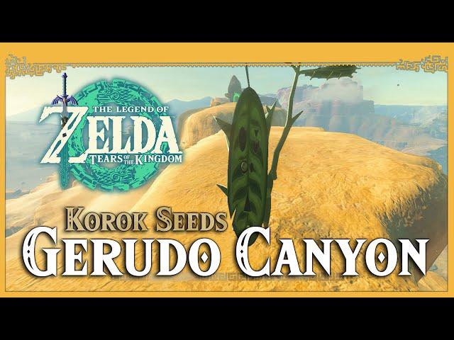 Gerudo Canyon Korok Seeds • Zelda Tears of the Kingdom TOTK