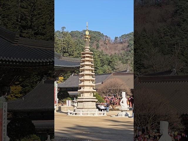 오대산 월정사 팔각구층석탑 ㅣ2024.11.04(월)