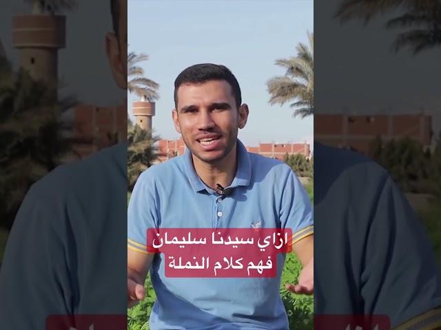 ازاي سيدنا سليمان فهم كلام النملة 