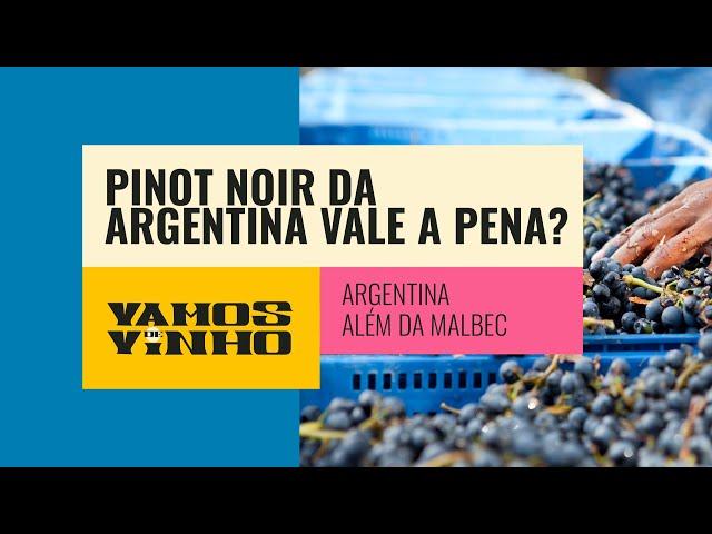 Pinot Noir da Argentina é mais barato que da França, mas vale a economia?