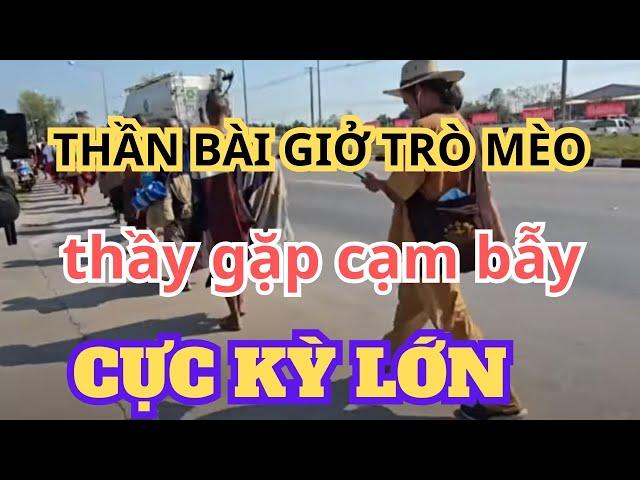 THẦN BÀI GIỞ TRÒ MÈO , THẦY GẶP CẠM BẪY CỰC LỚN