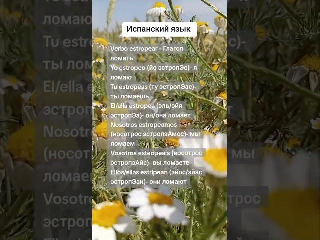 Испанский язык вместе с нуля #испанскийязык #испанский #испанскийлегко #учимиспанский #испания