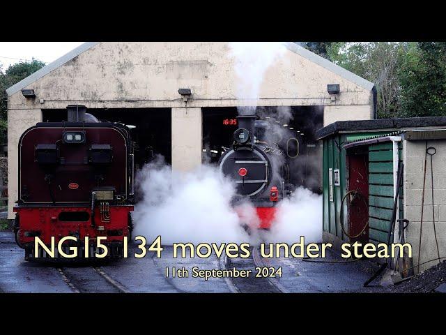 NG15 134 Moves - 11/9/24