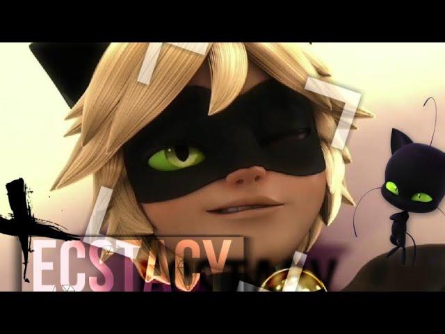 Ladybug- Ecstacy[Edit]