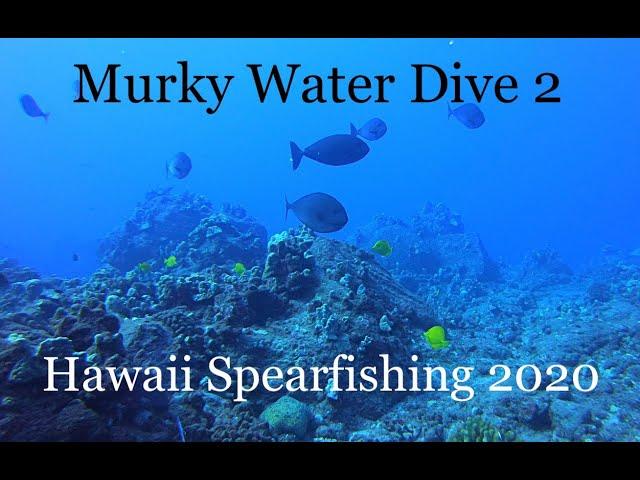 Murky Water Dive 2 | Hawaii Spearfishing 2020