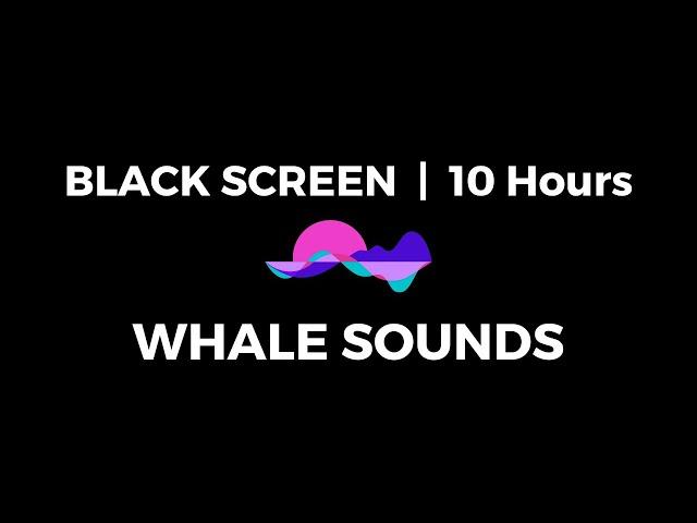 BLACK SCREEN  10 hours of WHALE SOUNDS for deep sleep