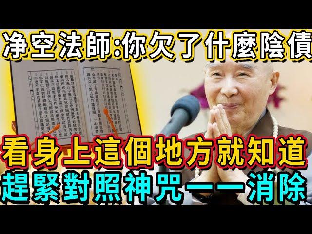 净空法師：陰債不還，人生不順！你欠了什麼陰債，看身上這個地方就知道！趕緊對照神咒一一消除！