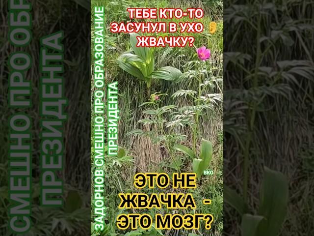 Стреляй в НЕГО? #юмор #здоровье #честь #смех #удачи #мудрость #деньги #задорнов ##МИР