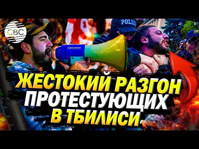 Протесты в Грузии: полиция жестко разогнала палаточный лагерь против парламентских выборов