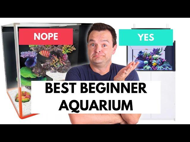 The Best Size Saltwater Aquarium For Beginners