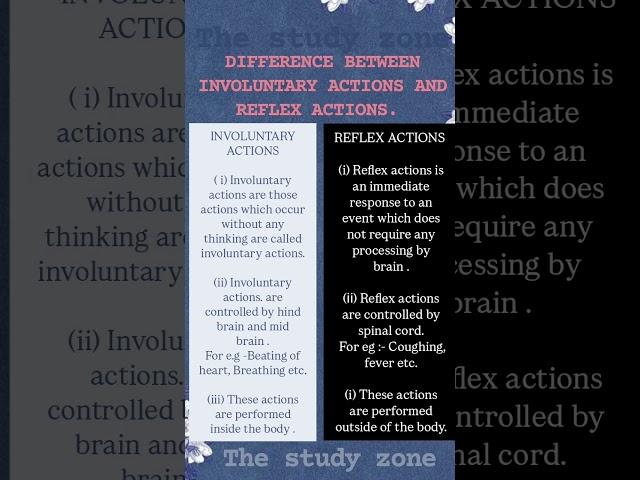 Difference between Involuntary actions and Reflex actions l Class 10 l Ch 7 l The study zone #shorts