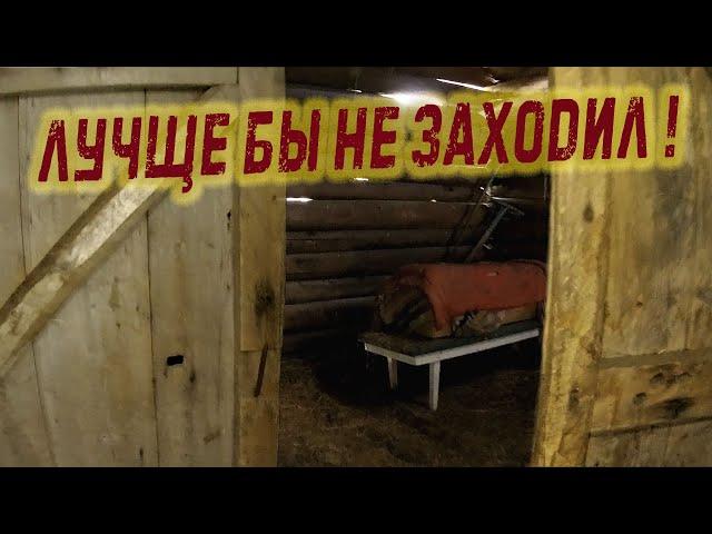 заброшенная деревня в глухой тайге  и неожиданная и не самая приятная находка