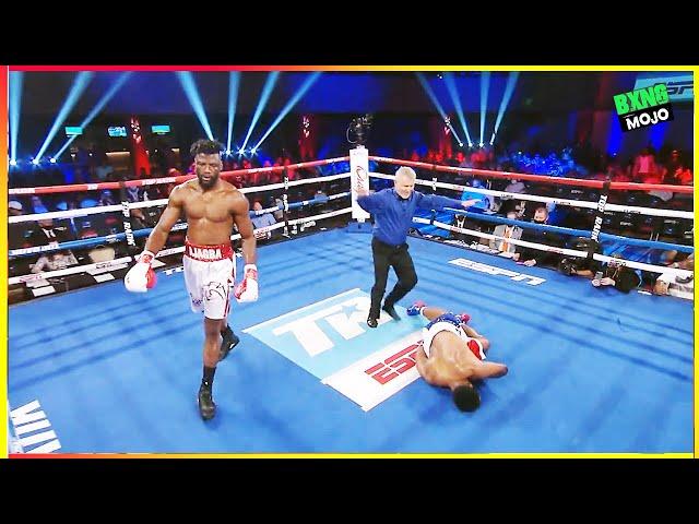 Efe Ajagba (Nigeria) vs Brian Howard (USA) - KNOCKOUT, BOXING HD