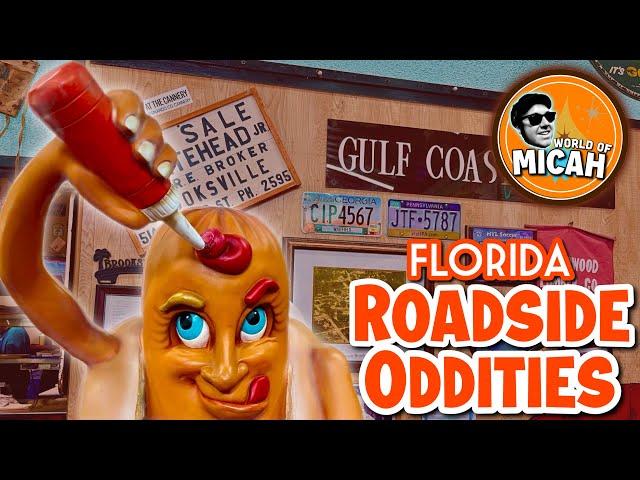 Weirdest Roadside Oddities in Brooksville, Florida | Coney Island Drive Inn, Dinosaurs & More! 4K