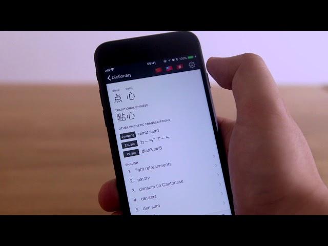 Panda Chinese Dictionary optimized for iOS 11 and iPhone X
