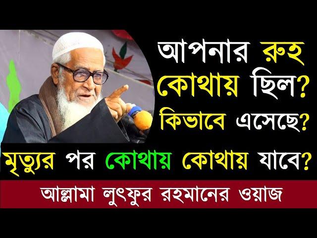 আপনার রুহ কোথায় ছিল? কিভাবে এসেছে? মৃত্যুর পর কোথায় কোথায় যাবে? লুৎফুর রহমান ওয়াজ Lutfur Rahman