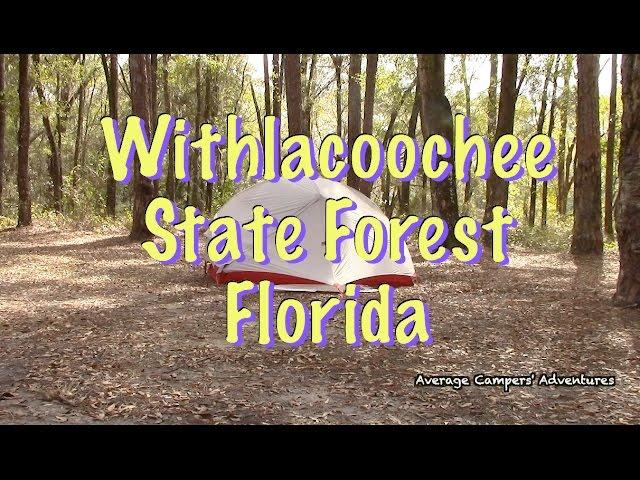 Withlacoochee State Forest Florida Backpacking