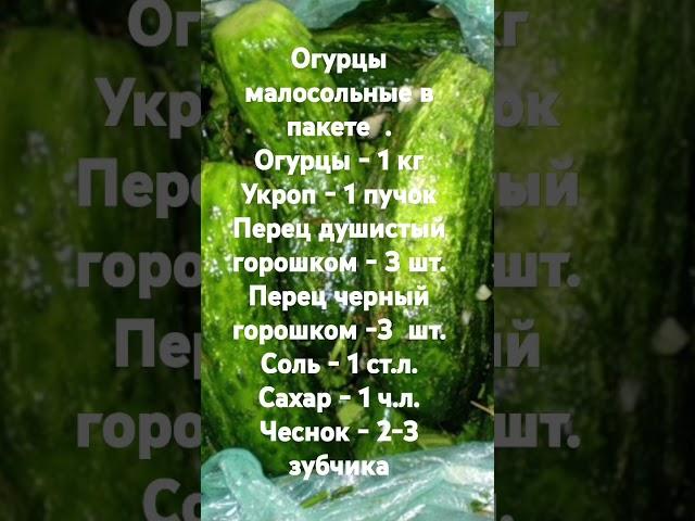 Огурцы малосольные в пакете с чесноком  и укропом.