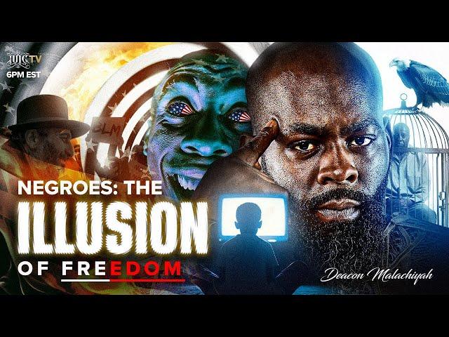 Negroes: The Illusion of Freedom