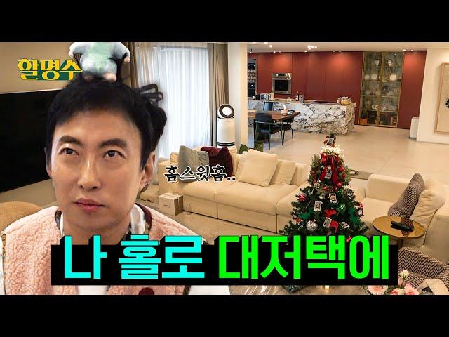 How to enjoy the end of the year perfectly alone | HalMyeongsoo ep.215