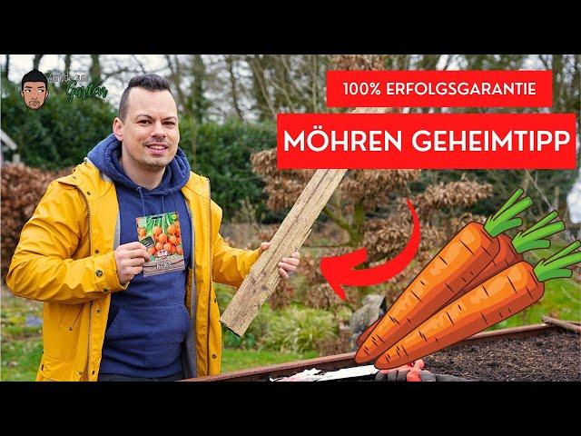 Möhren Aussaat mit 100% Keimgarantie   Mein Geheimtipp