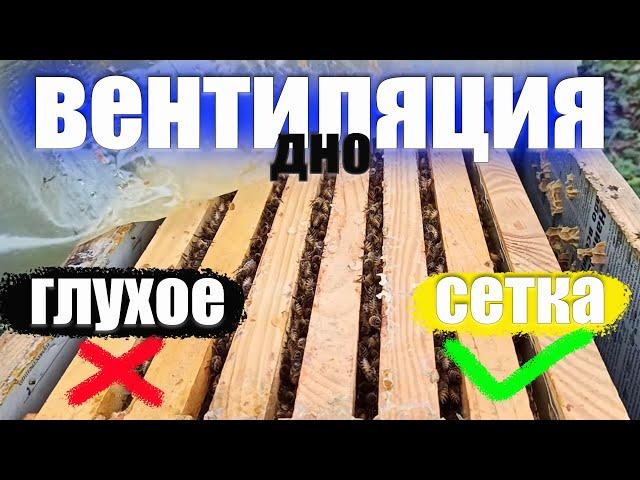 Пчеловодство для начинающих вентиляция и утепление пчелиной семьи. зимовки глухое и сетчатое дно