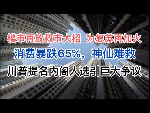 楼市再放大招，为复苏再添火！消费暴跌65%，神仙难救！川普提名内阁人选引发巨大争议！卢比奥要小心了！(20241113第1310期)